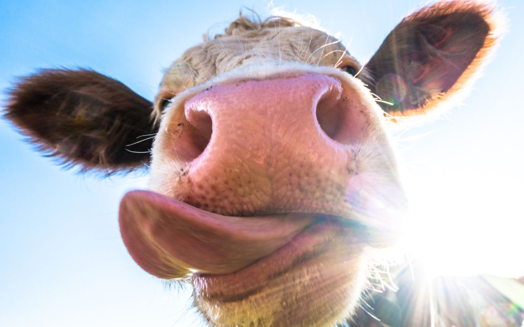 scelta hotel clienti fattori decisivi 2025